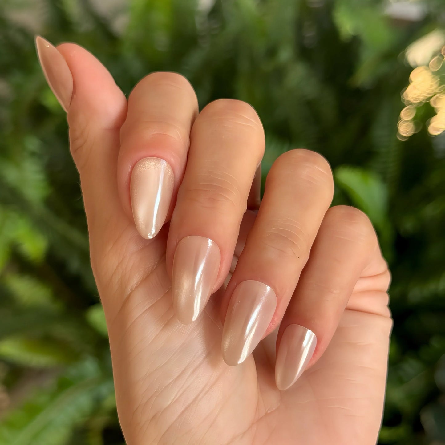 Vanilla Gloss - Noho Nails