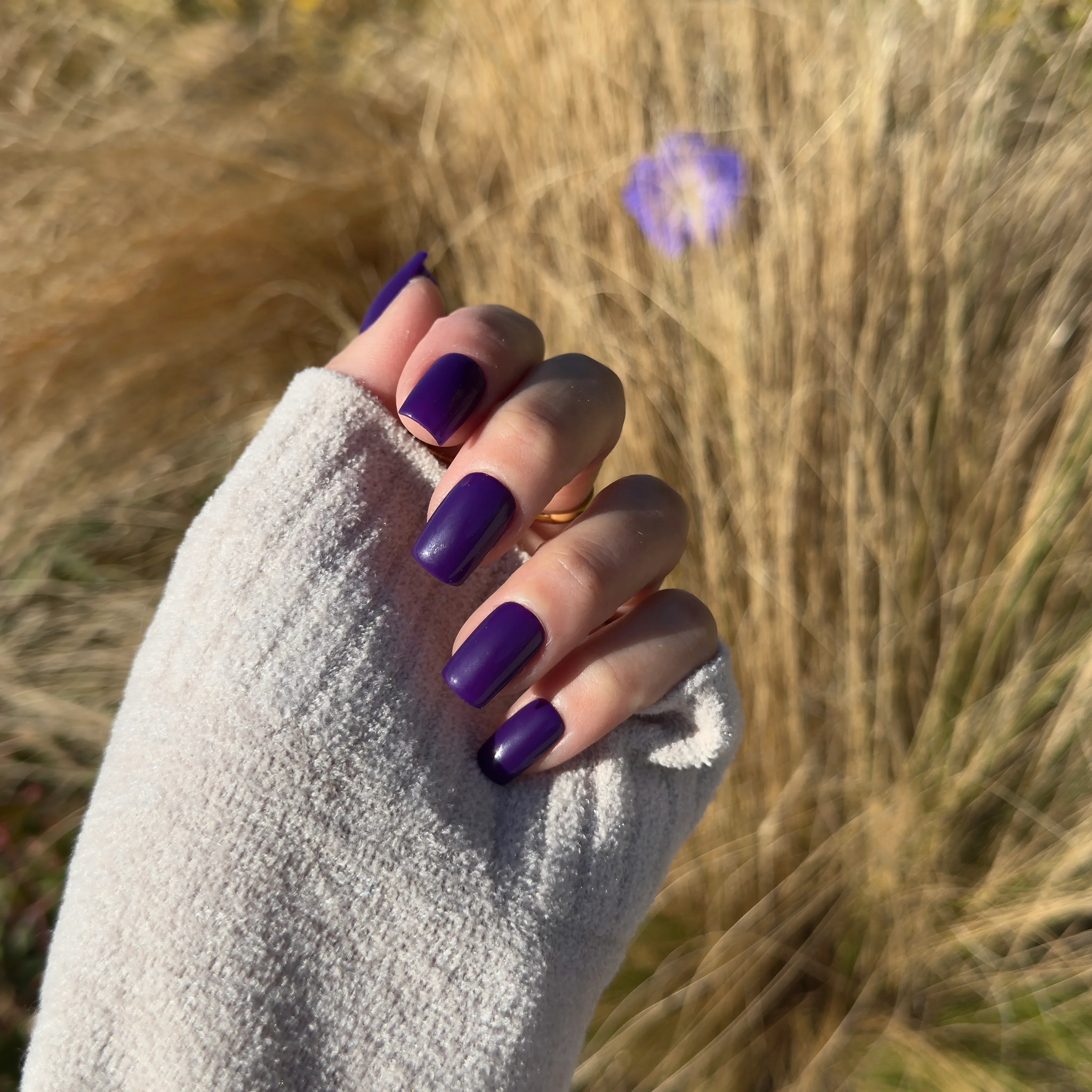 You're Pretty Grape - Noho Nails