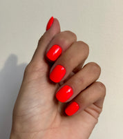 Open Close Exit - Noho Nails