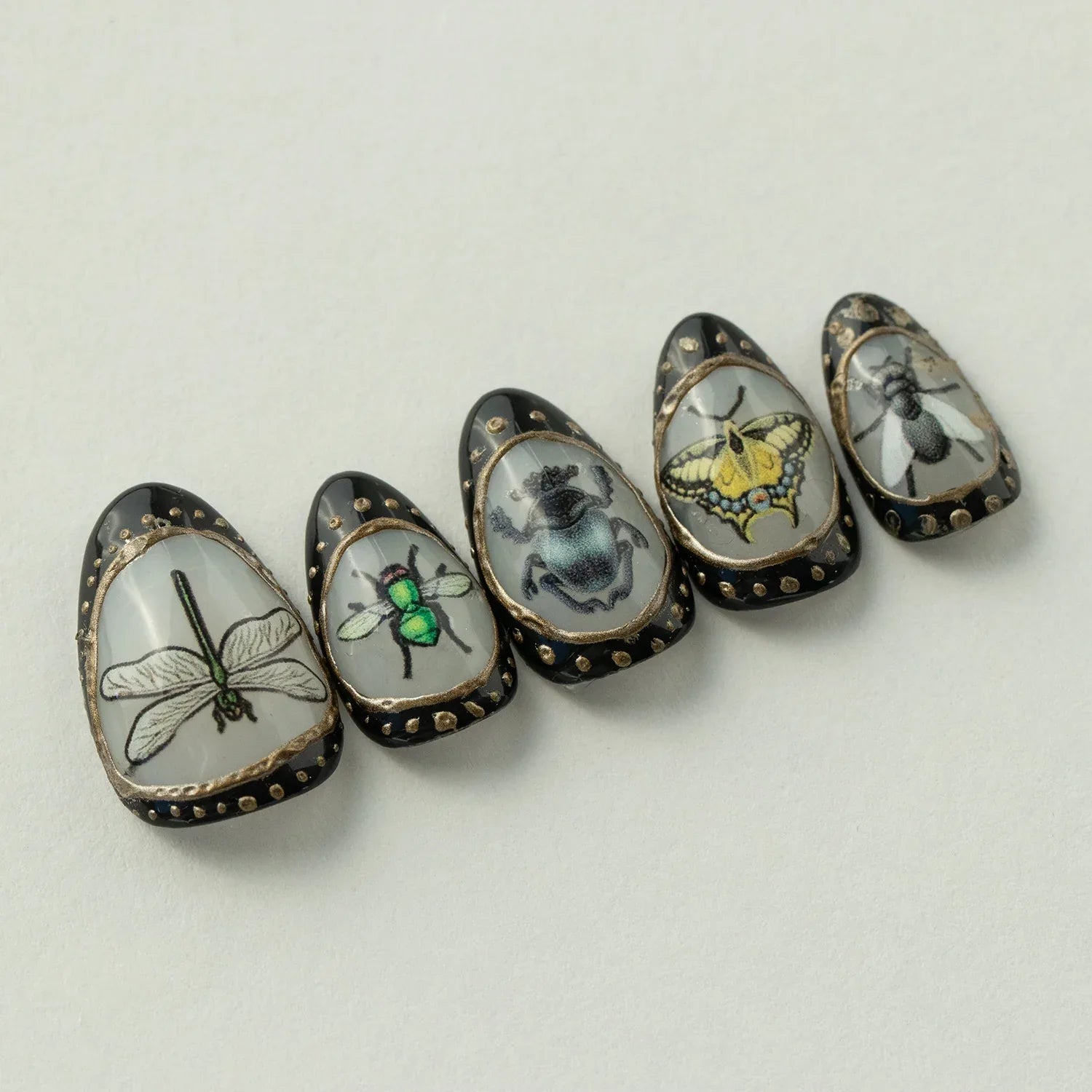 Miniature Curiosity - Noho Nails