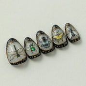 Miniature Curiosity - Noho Nails